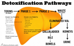 Detox path